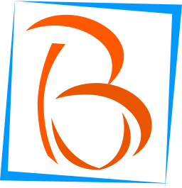 ByVal Technologies India (P) Ltd.